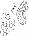 Arı Hayvanlar Boyama (67)