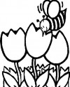 Arı Hayvanlar Boyama (68)