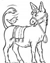 At Eşşek Hayvanlar Boyama (10)