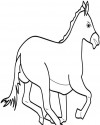 At Eşşek Hayvanlar Boyama (2)