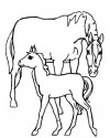 At Eşşek Hayvanlar Boyama (5)