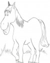 At Eşşek Hayvanlar Boyama (7)