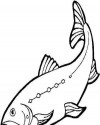 Balık Hayvanlar Deniz Canlıları Boyama (15)