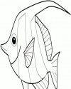 Balık Hayvanlar Deniz Canlıları Boyama (2)