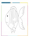 Balık Hayvanlar Deniz Canlıları Boyama (27)