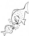 Balık Hayvanlar Deniz Canlıları Boyama (30)