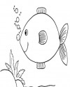 Balık Hayvanlar Deniz Canlıları Boyama (4)