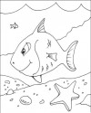 Balık Hayvanlar Deniz Canlıları Boyama (74)