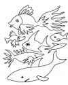 Balık Hayvanlar Deniz Canlıları Boyama (9)