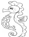 Deniz Atı Hayvanlar Deniz canlıları Boyama  (4)