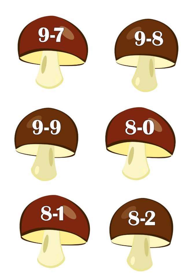 toplama-çıkarma-mantar-etkinlikleri-33.jpg
