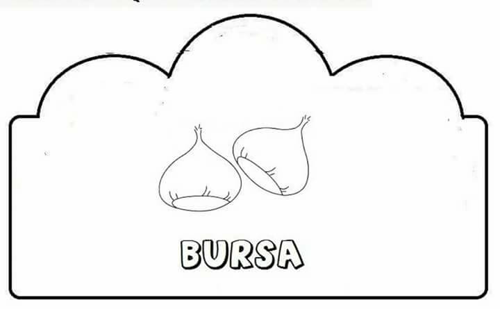 şehir şehir yetişen ürünler (18)