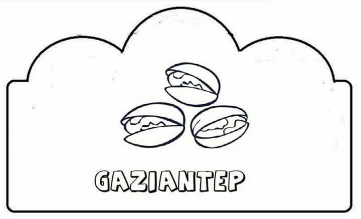 şehir şehir yetişen ürünler (20)