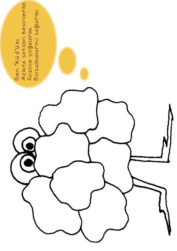 mikroplar (5)
