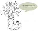 mikroplar (2)