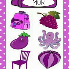 Mor Renk ve Mor Nesneler Eğitimi: Mor Kalem, Mor Sırt Çantası, Üzüm, Patlıcan, Ahtapot, Mor Sandalye, Mor Balon