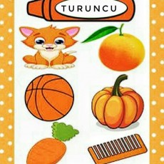 Turuncu: Renk Öğretimi ve Nesne Tanıma (Kedi, Portakal, Basketbol, Balkabağı, Havuç, Tarak)