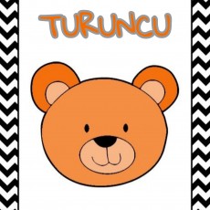 Renk ve Hayvan Öğretimi: Turuncu Ayı