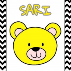 SARI Renk ve Sarı Ayıcık Eğitimi