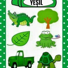 Yeşil Renk Eğitimi: Crocodile, Frog, Turtle, Tree, Leaf ve Green Truck Resimleri