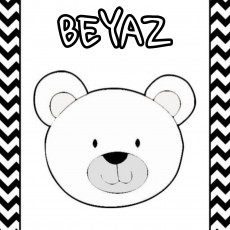 BEYAZ RENGİ VE AYI İLİŞKİSİ İÇİN EĞİTİCİ MATERYAL