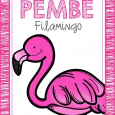PEMBE Flamingo - Renk Öğrenme Kartı