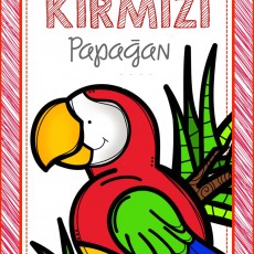 KIRMIZI PAPAGAN - Eğitici Grafik