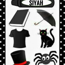 Siyah Renkli Nesneler: Kalem, Kitap, Şemsiye, Kedi, Tişört, Sihirbaz Şapkası ve Örümcek