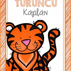 Turuncu Kaplan Çizimi - Renkler ve Hayvanlar