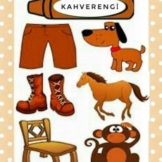 KAHVERENGİ: Renk ve Nesneler - Köpek, At, Maymun, Sandalye, Pantolon, Botlar