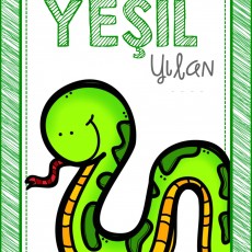 YESİL YILAN - Eğitici Hayvan Tanıtımı (Yeşil Yılan)