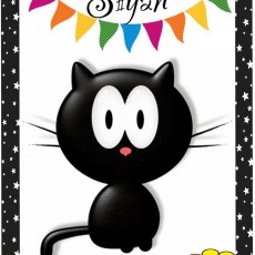 Siyah Kedi İllüstrasyonu ve Renkli Bayraklar