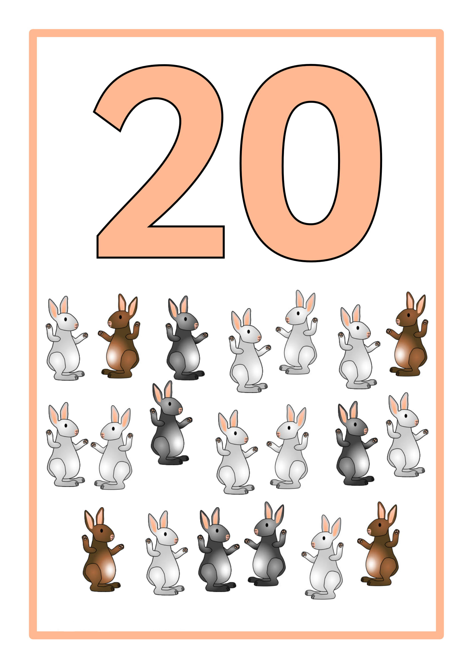 20 RABBIT COUNTING EDUCATIONAL MATERIAL