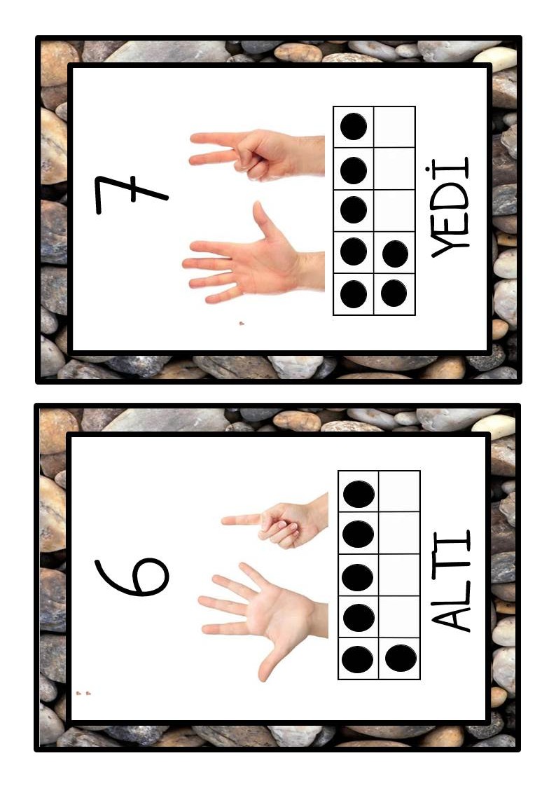 Rakamlar ve Sayılar: 7 YEDİ - 6 ALTı