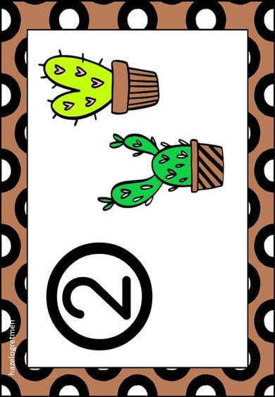 Eğitici Kart: 2 (İki) Cactus Resimleri