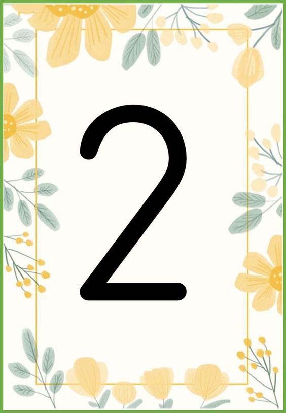 Çiçekler ve Sayılar: 2 (İki)