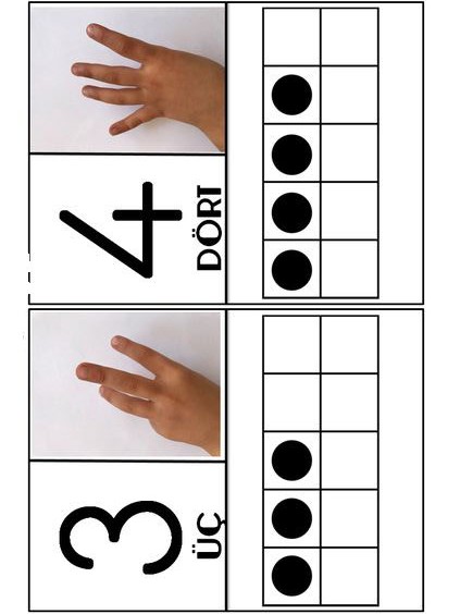 Sayılar ve Parçalar: 3 Üç ve 4 Dört Tanıtımı