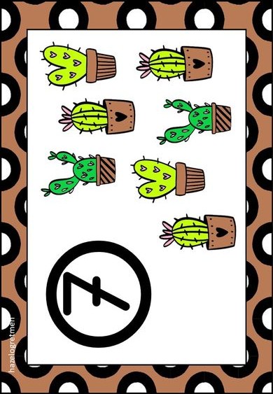Cactus Illustrations with Numbers and Symbols - Educational Material on Plants