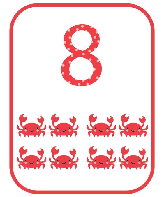 Eğitici Kart: 8 (Sekiz) Karides