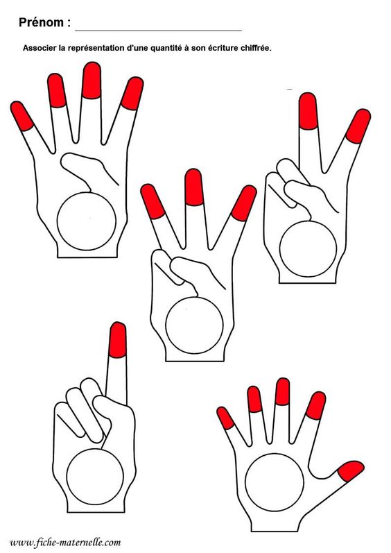 Eğitim Materyali: Parmak Sayıları ve Temsilleri - 1, 2, 3, 4, 5