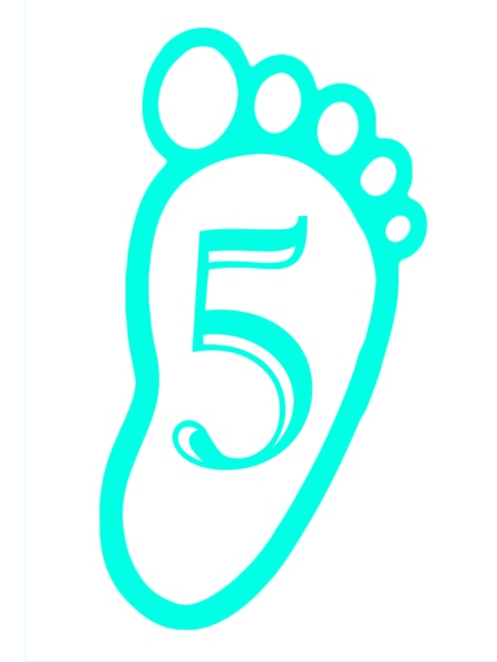 Ayak İzi ile 5 Sayısı - Eğitim Materyali