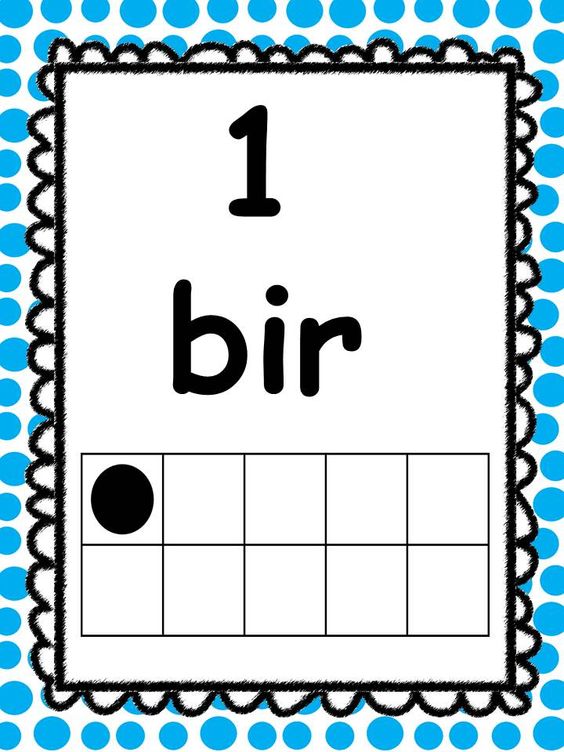 1 Bir Sayı Eğitimi