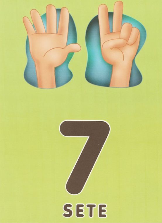 Eğitim Materyali: 7 (Yedi) Sayısı ve İşaret Dili