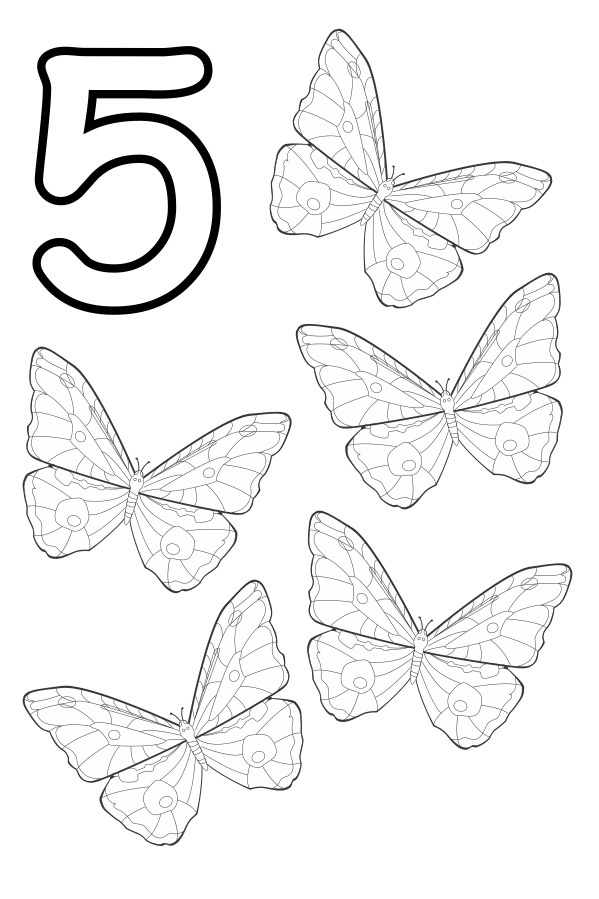 5 (BEŞ) Konturlu Kelebek Resmi - Sayı ve Hayvan Öğretimi