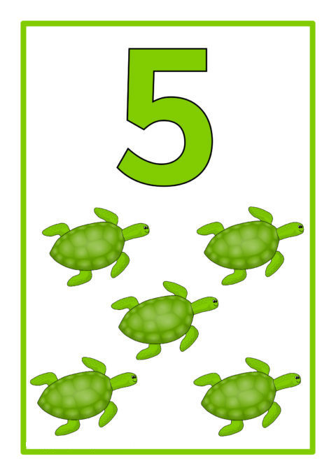 5 Turtles - Counting and Number Recognition Activity