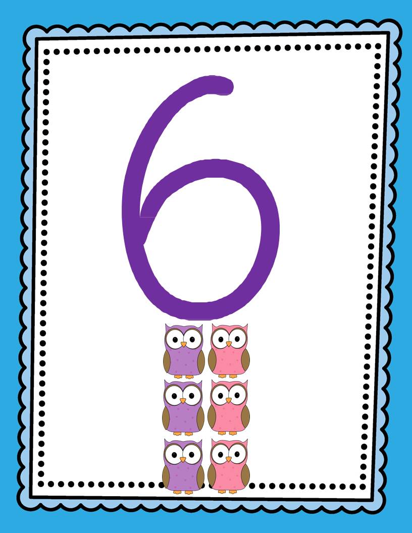 Hayvanlar ve Sayılar: 6 (Altı) Baykuş