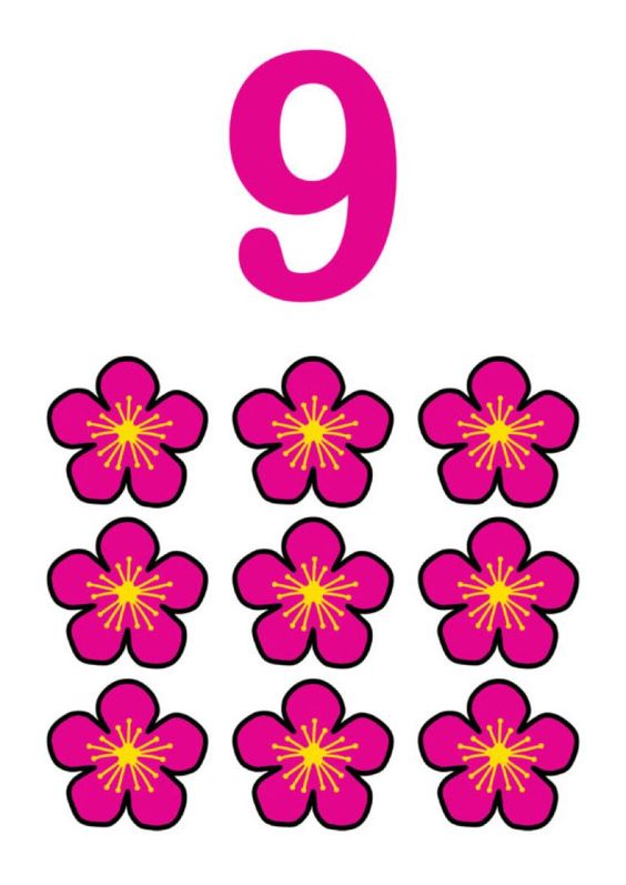 9 (dokuz) Pembe Çiçekler ile Sayı Eğitimi - Görsel Öğrenme