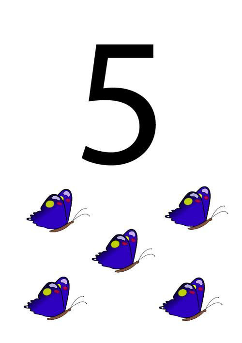 5 SAYISI VE BEŞ MAVİ Kelebek