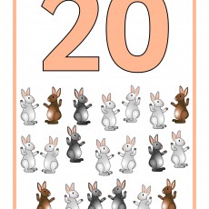 20 RABBIT COUNTING EDUCATIONAL MATERIAL