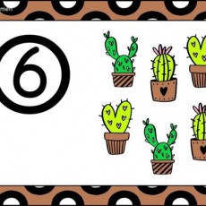 Cactus Sayma Kartı: 6 (Altı) Cactus Bitkisi ve Saksıları